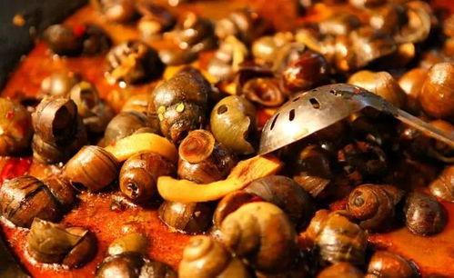 鲁菜爆料炒螺肉视频,炒螺肉视频大揭秘，家常美味轻松学